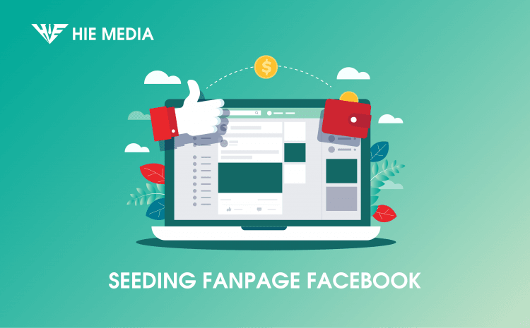 seeding fanpage facebook